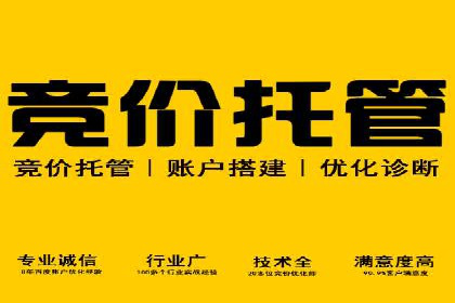 打造品牌影响力：百度竞价代理实战案例精选